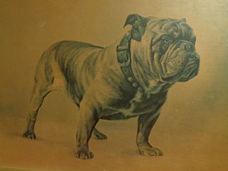 Mack Trucks Bulldog Print On Canvas Framed Dealership Promotion
