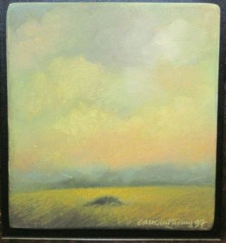 Carol Anthony Oil Painting 1997 (pinow Field Nm) 10x11 Signed Framed