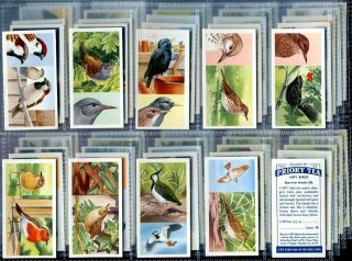 Trade Card Set,  Priory Tea,  I Spy,  Birds,  Bird Spotting,  Twitcher,  1957