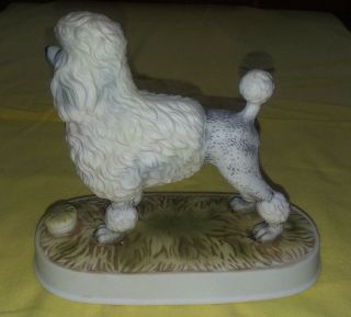 VINTAGE French Poodle Lionstone Whiskey Decanter Limited Edition 1975 3