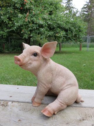 Pig Statue Sitting Oinker Piglet Resin Garden Indoor Farm Decor Fig 10 In.
