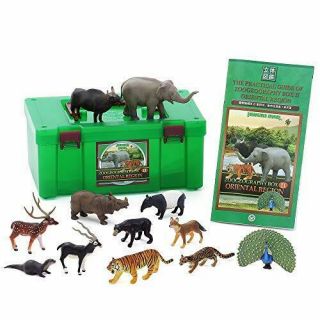 Colorata Endangered Animals Zoogeography BoxⅡoriental Region Real Figure Box