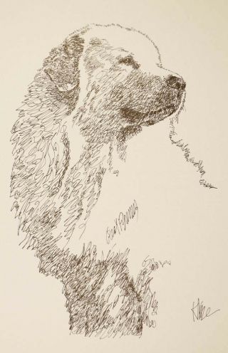 Great Pyrenees Dog Art Lithograph 78 Stephen Kline Will Draw Dogs Name.