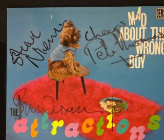 THE ATTRACTIONS Elvis Costello Mad About The Wrong Boy LP Vinyl SIGNED 3 TIMES 2