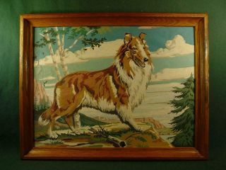 Large Vintage Collie Lassie Dog Paint By Numbers Painting Pbn