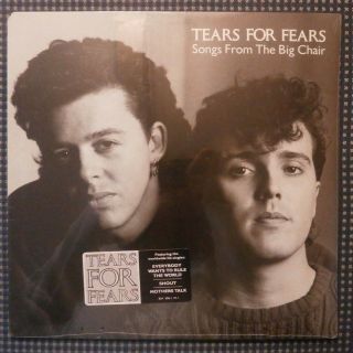 Rare Tears For Fears Song From The Big Chair Orig.  1985 12 " Vinyl Record Lp