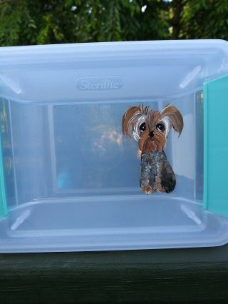 Hand Painted Dog Art Yorkie Yorkshire Terrier Storage Box Sterlite 2