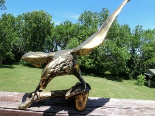 Large Brass American Eagle Statue On Branch 19 " Wingspan