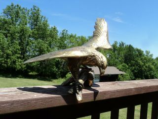 Large BRASS AMERICAN EAGLE STATUE ON BRANCH 19 