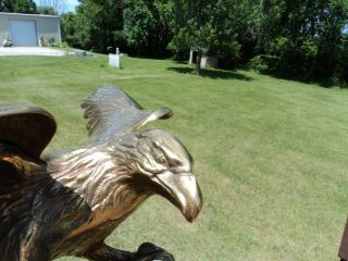 Large BRASS AMERICAN EAGLE STATUE ON BRANCH 19 