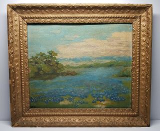 Antique Texas Landscape Bluebonnets Oil 12 " X10 " Board Signed H.  M.  Frame