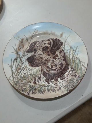 German Shorthaired Pointer Limited Edition Collectors Plate 12