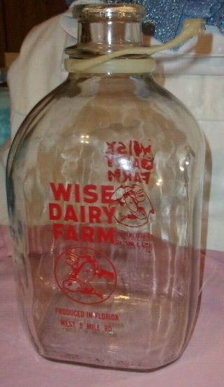 VINTAGE GALLON TRUE RED LETTERING RARE WISE DAIRY FLORIDA COW ON FRONT 2