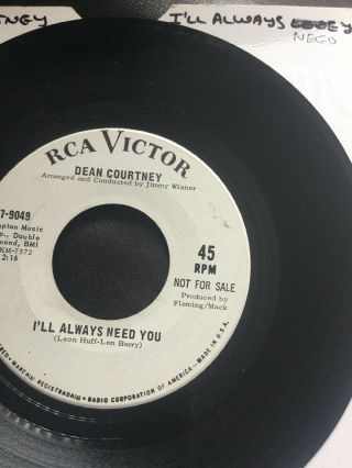 Dean Courtney I’ll Always Need You Rca Victor White Demo