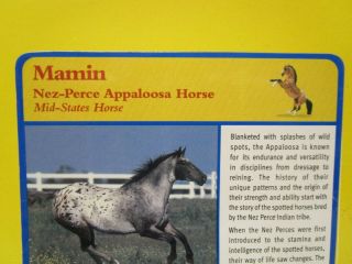 2007 Breyer Mamin Nez - Perce Limited Edition Appaloosa Horse 1:9 Scale MIB 7