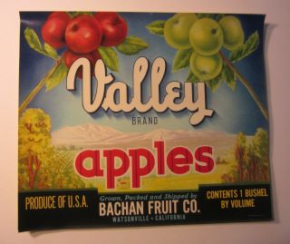 Of 100 Old Vintage - Valley - Apple Labels - Watsonville Ca.