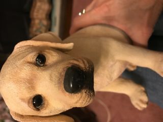Adorable Labrador Retriever Pup Statue