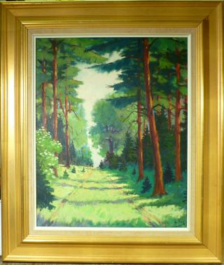 Kai Pihl Forest Landscape With Pine Trees.