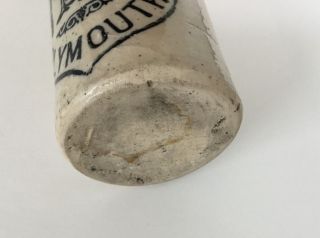 W.  Biscombe Plymouth Ginger Beer Stoneware Bottle 5