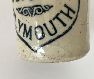 W.  Biscombe Plymouth Ginger Beer Stoneware Bottle 7
