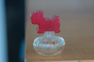 Vintage Miniature Red Bakelite Scottie Dog Schnauzer Perfume Bottle 1 3/4 "