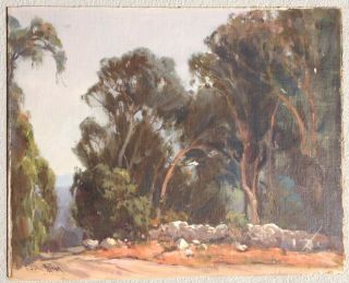 Fitch Fulton 1879 - 1955 - Eucalyptus Painting - California Plein Air Oil Board