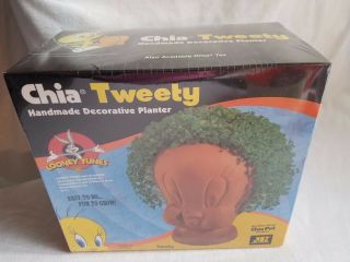 2011 Looney Tunes Chia Pet Tweety Bird Decorative Planter