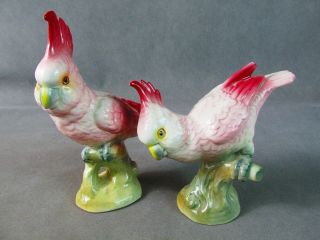 Pr 1940s Brad Keeler Pottery Cockatoo Birds Figurines
