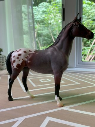 Classic Breyer Horse Appy 712231 Scotty Web Special Swaps