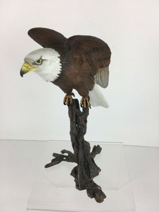 Vtg 1985 Royal Worcester Birds Of Prey Bald Eagle Bone China & Bronze Sculpture