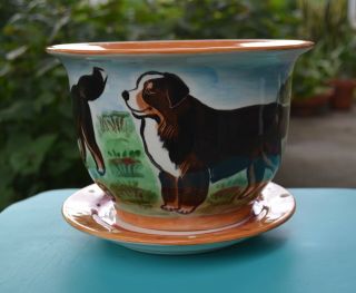 Bernese Mountain Dog.  Handpainted Ceramic Flower Pot.  Ooak.  Look