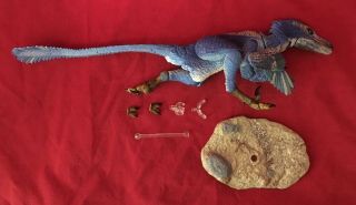 Blue Velociraptor Osmolskae Kickstarter Exclusive Beasts Of The Mesozoic Loose