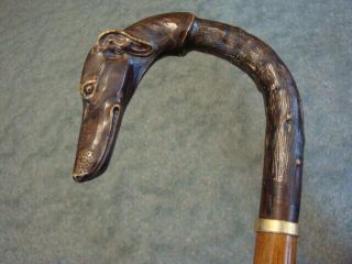 Vintage Greyhound Whippet Dog Head Walking Stick Cane