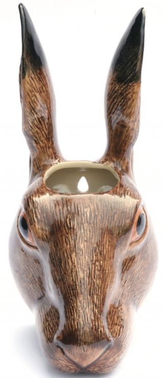 Hare Wall Vase Plant Pot By Quail Pottery