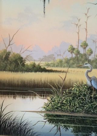 Ben Essenburg Florida Wildlife Artist Oil Painting 24x20 Dated 9 - 11 - 86 5