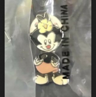 90’s Warner Brothers Animaniacs Vintage Wakko,  Dot,  And Yakko Pin Set 3