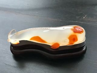 Vtg Hand Carved Agate Beluga Whale Creamy W/ Red Spots,  Wooden Stand - Lovely
