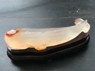 VTG Hand Carved Agate Beluga Whale Creamy w/ Red Spots,  Wooden Stand - Lovely 2
