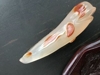 VTG Hand Carved Agate Beluga Whale Creamy w/ Red Spots,  Wooden Stand - Lovely 5