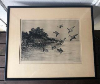 Roland Clark Framed,  Signed Sporting Art Ducks Drypoint Etching - Safe In,  1924
