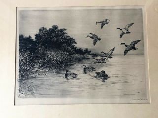 ROLAND CLARK Framed,  Signed Sporting Art Ducks Drypoint Etching - Safe In,  1924 2