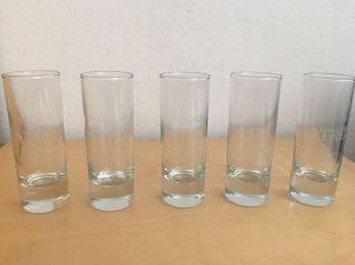 Set Of 5 Patron Tequila Shot Glasses