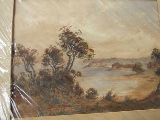 Alva Earlington Rosebray Australia  Watercolour Painting 