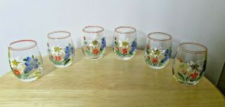 Set of 6 vintage floral shot glasses.  Adorable 2