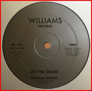 Boogie Funk 12 " Ronald Dudley - Do The Snake Williams - Mega Rare 