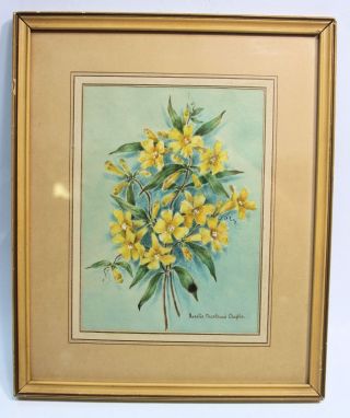 Listed Artist Rosalie Chartrand Chaplin Early 20th Century Flower Watercolor
