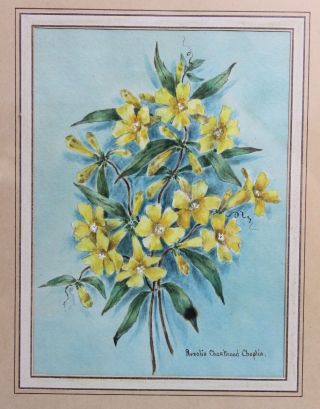 Listed Artist Rosalie Chartrand Chaplin Early 20th Century Flower Watercolor 2