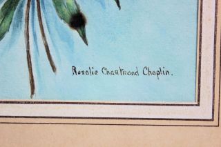 Listed Artist Rosalie Chartrand Chaplin Early 20th Century Flower Watercolor 3