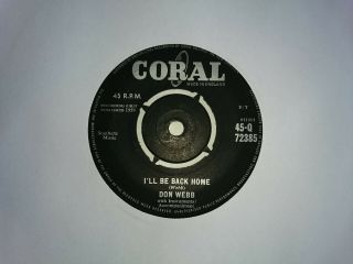 Don Webb Little Ditty Baby I 