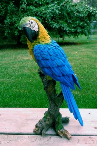 Blue Macaw Parrot Tropical Pet Bird Figurine Decoration Ornament Mexico15 In.